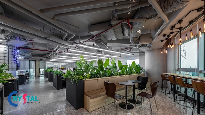 Thiết kế nội thất văn phòng mở kết hợp không gian xanh