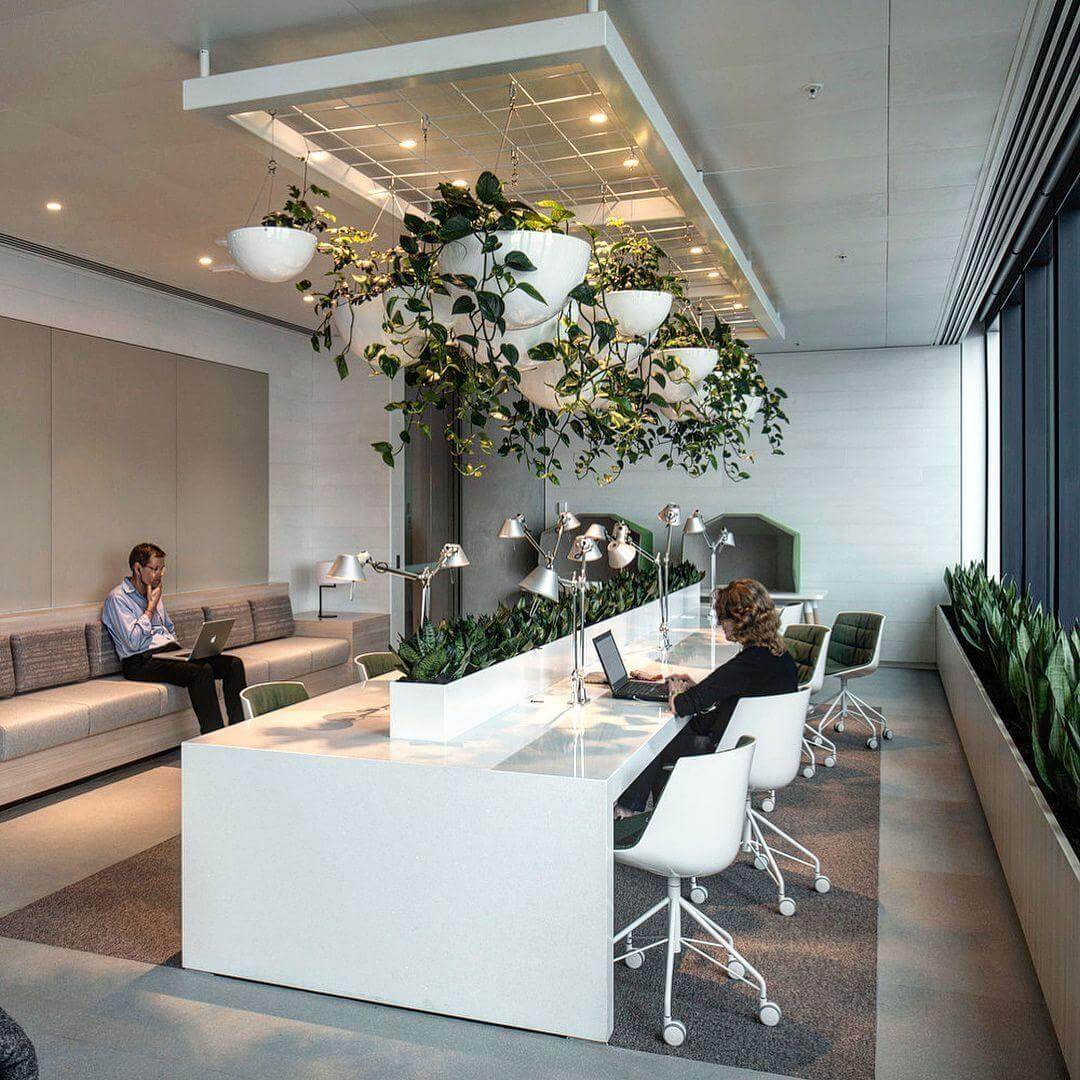 Tận dụng trần nhà tạo thêm mảng xanh cho văn phòng